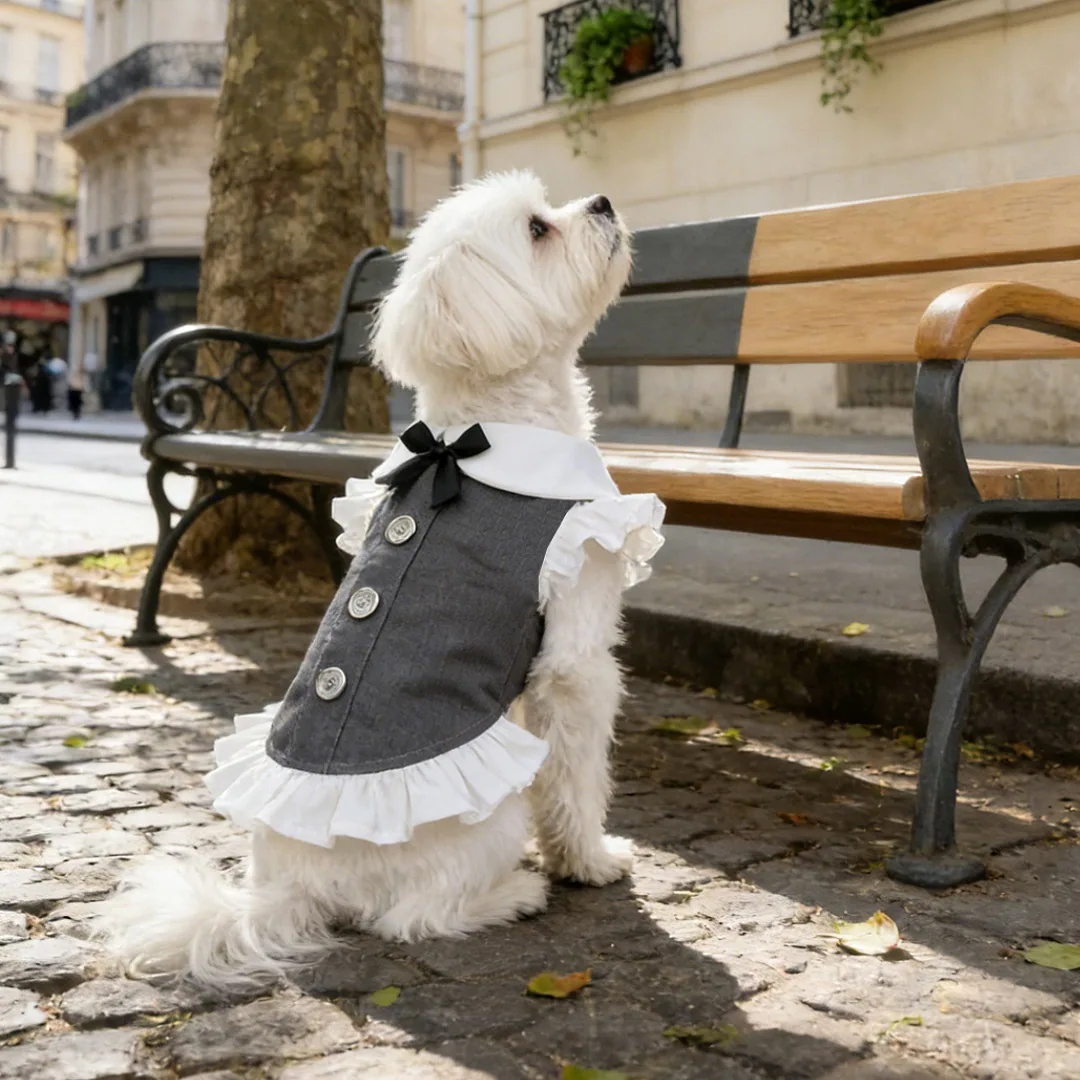 White dog wearing the featured collared A-line pet dress