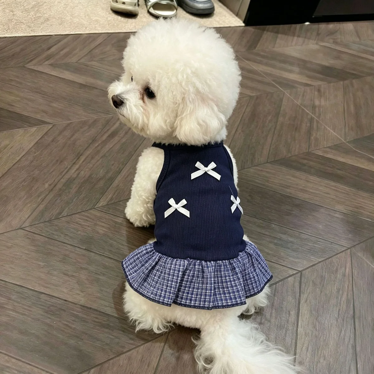 Blue Bow Summer Pet Dress
