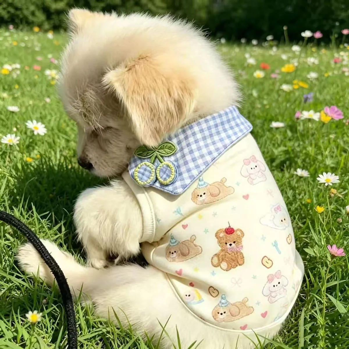 Bear-Print Pet Vest with Leash Clip